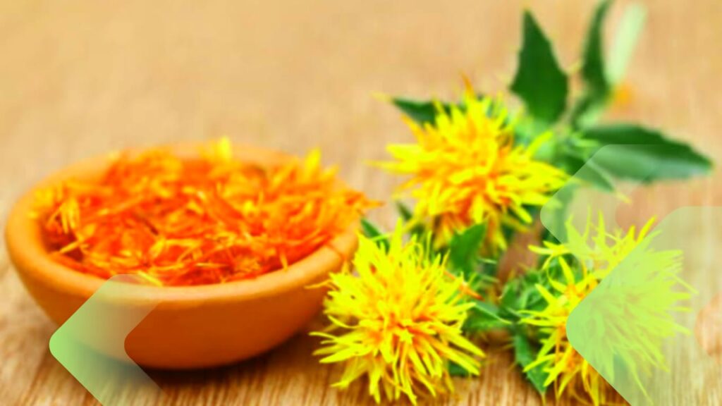 The Positive Effects Of Safflower Oil On Health Reorion